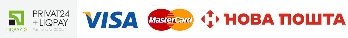 visa logo